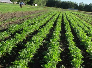 προγρ_υπ_αγρ_αν