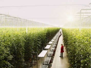 θερμοκήπιο